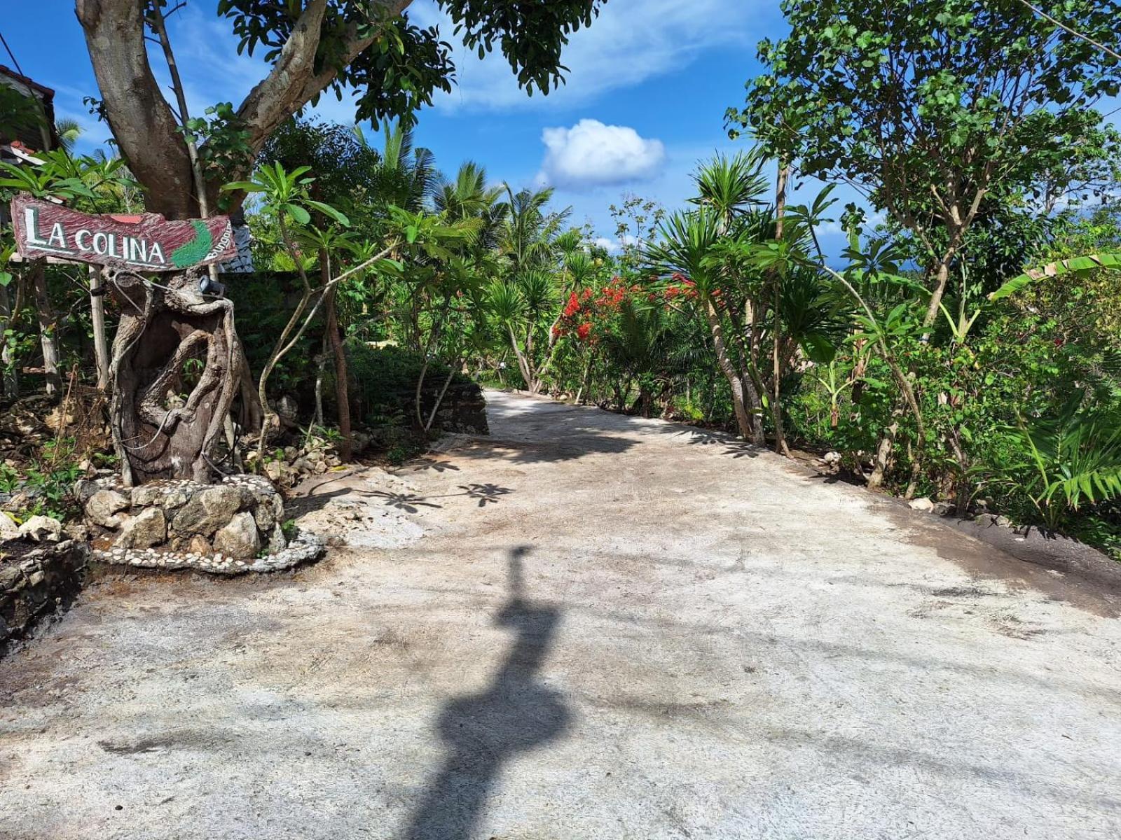 La Colina Bungalow Ped المظهر الخارجي الصورة