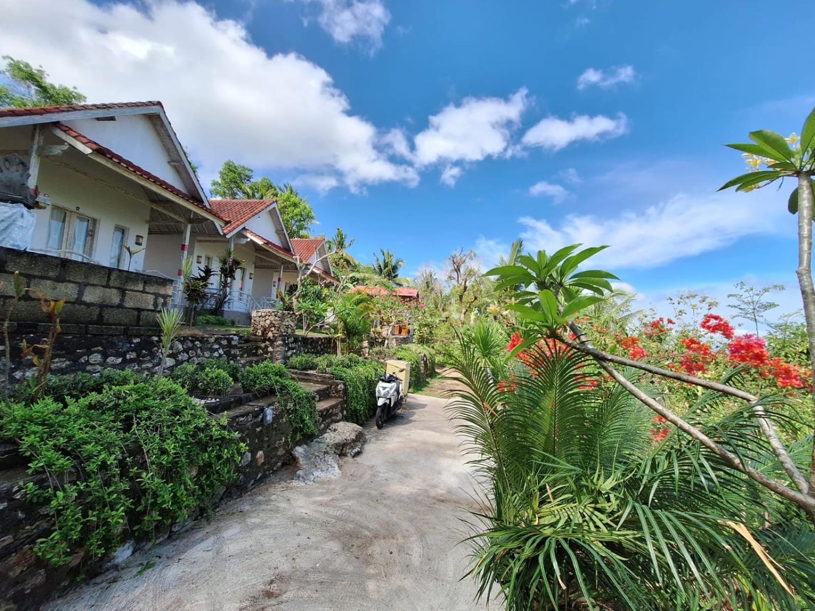 La Colina Bungalow Ped المظهر الخارجي الصورة